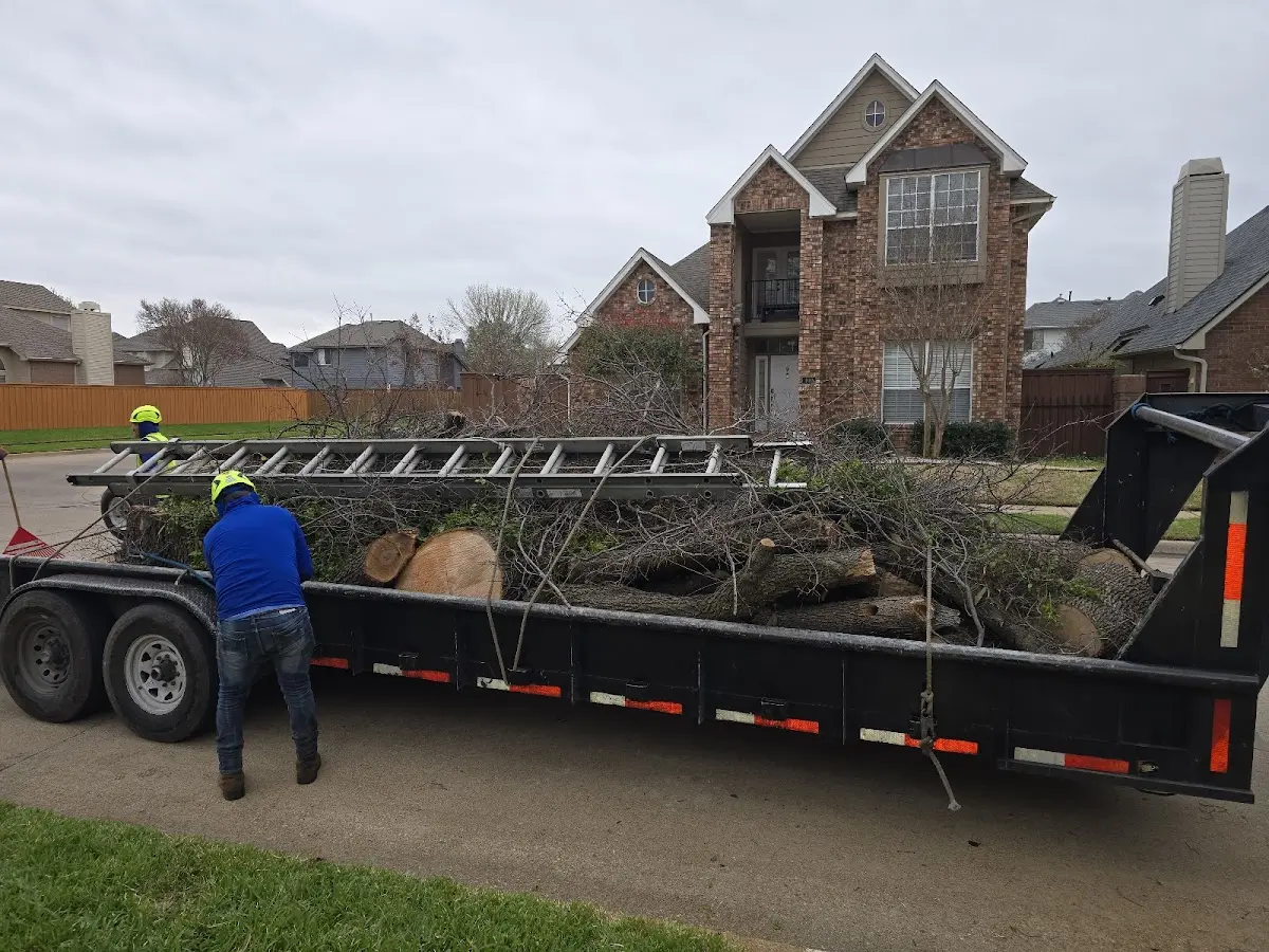 Expert Tree Fertilization with proper safety equipment in Kleinfeltersville